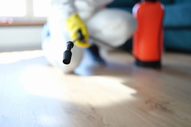 Trusted Mcconnellstown, PA Mold Removal Experts