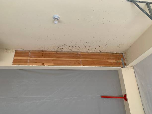 Best Air Quality Testing for Mold Spores  in Mcconnellstown, PA